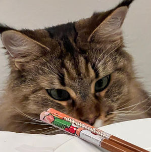 Meet your Posher, Natalie